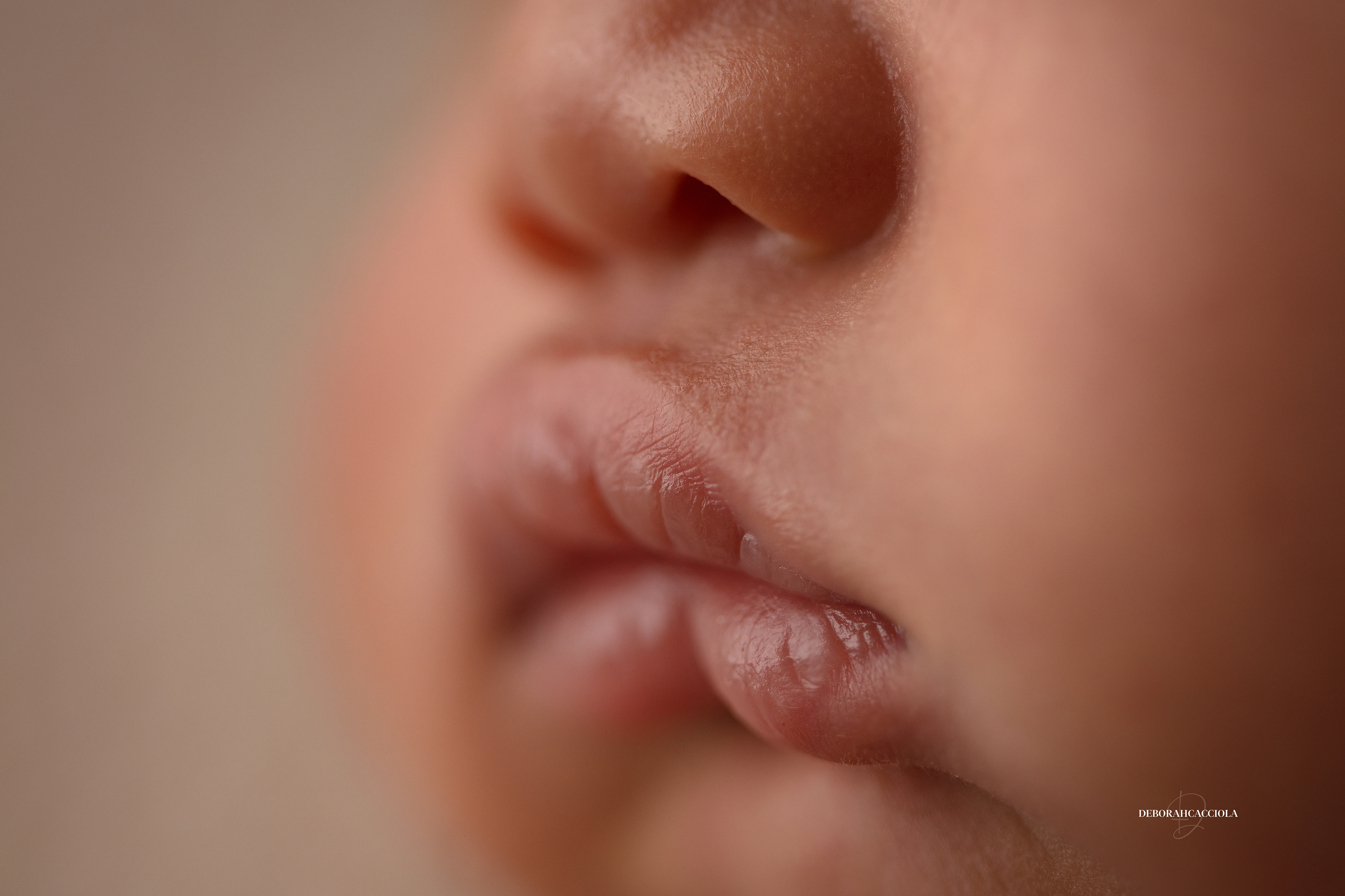 Illustration de l'article Les coulisses d’une séance photo nouveau-né dans mon studio à Orleans.