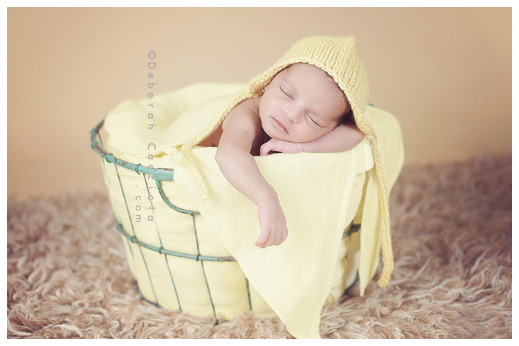 Newborn photo in Orléans, France