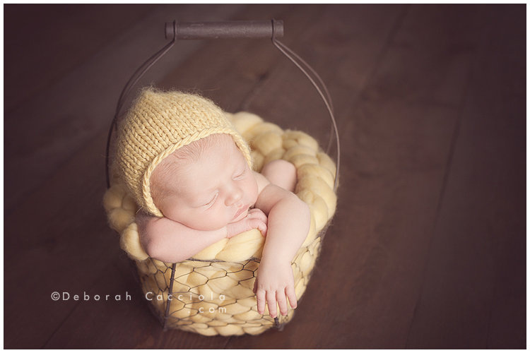 Newborn photo in Orléans, France