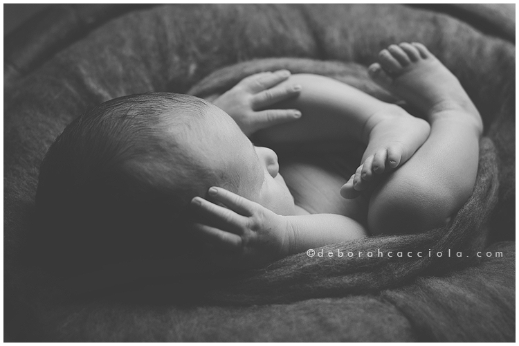 Newborn photo in Orléans, France