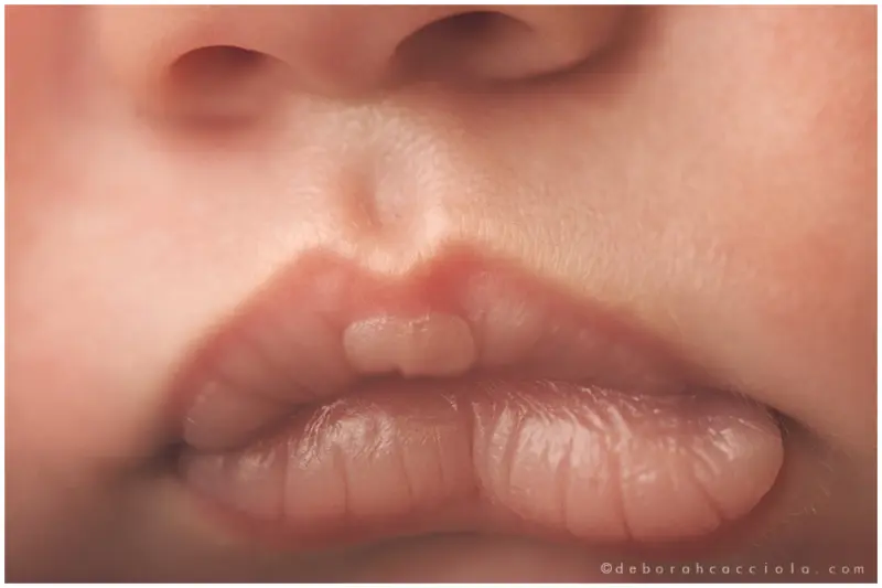 Newborn photo in Orléans, France