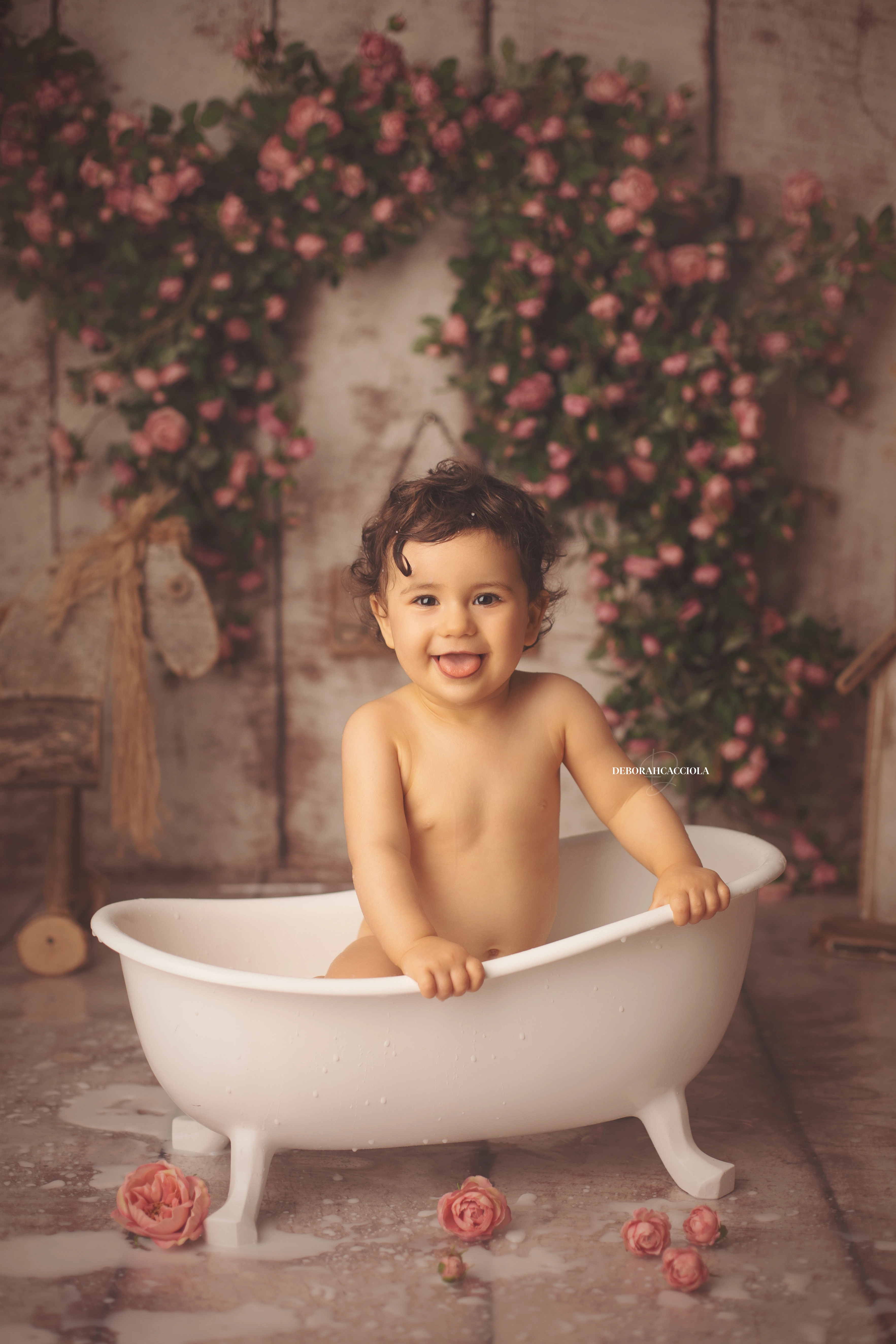 Photo anniversaire studio Orléans : moment festif en studio, composition resserrée élégante, couleurs équilibrées