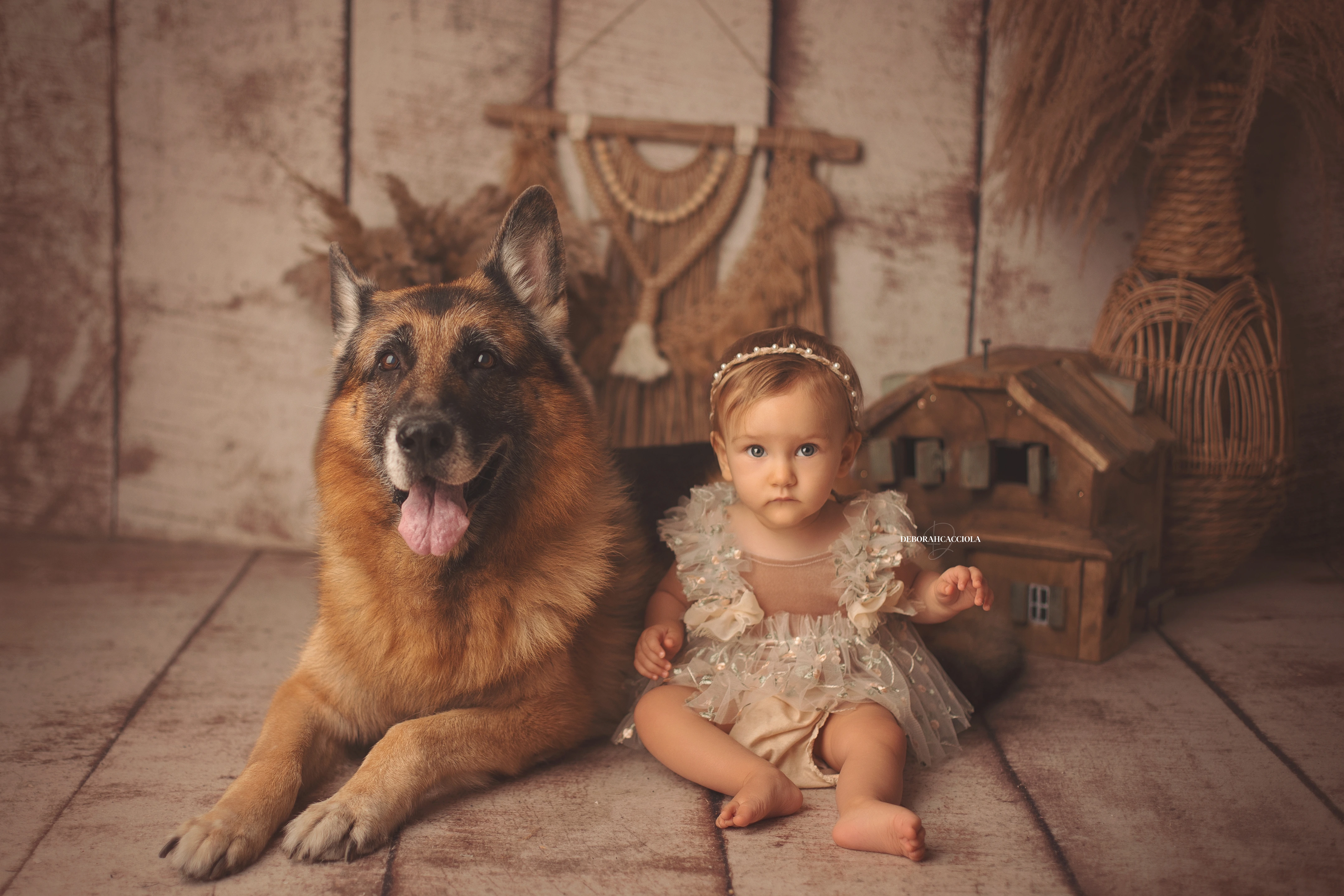Photo anniversaire studio Orléans : moment festif en studio, scène panoramique douce, palette claire