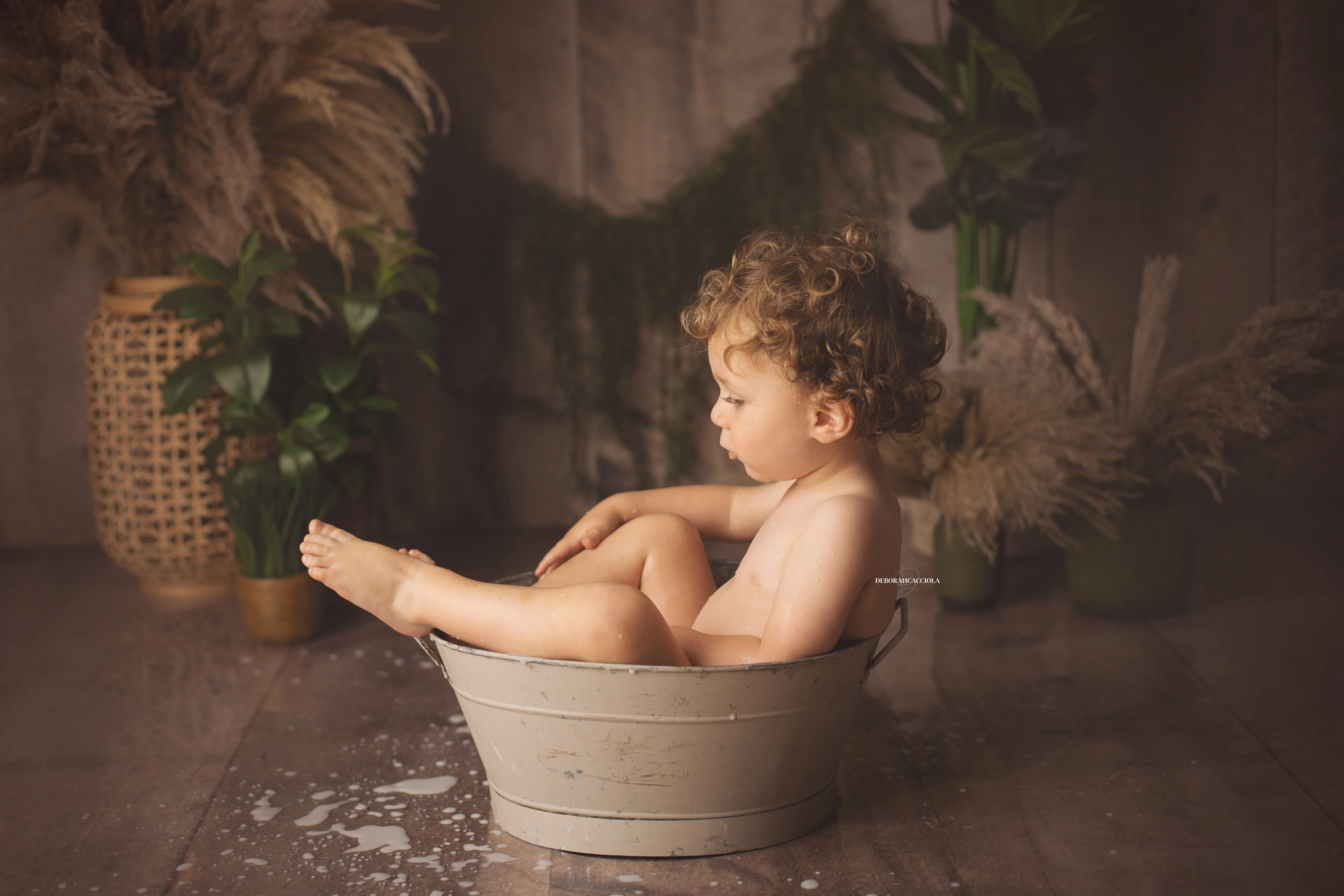 Photo anniversaire studio Orléans : moment festif en studio, scène panoramique douce, tonalités naturelles