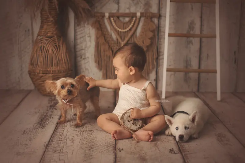 Photo anniversaire studio Orléans : moment festif en studio, cadrage horizontal équilibré, couleurs équilibrées