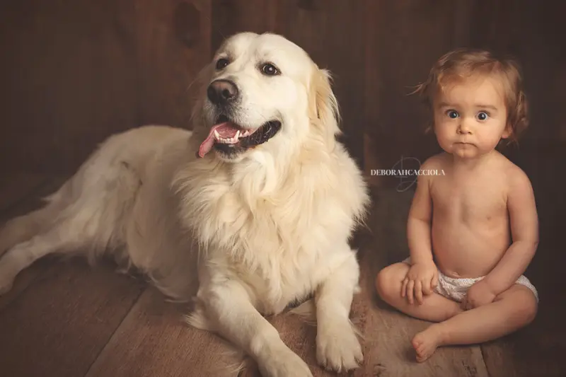 photo bebe photographe orléans