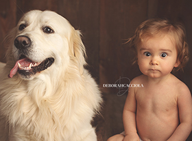 Photo bebe photographe chien bébé orleans