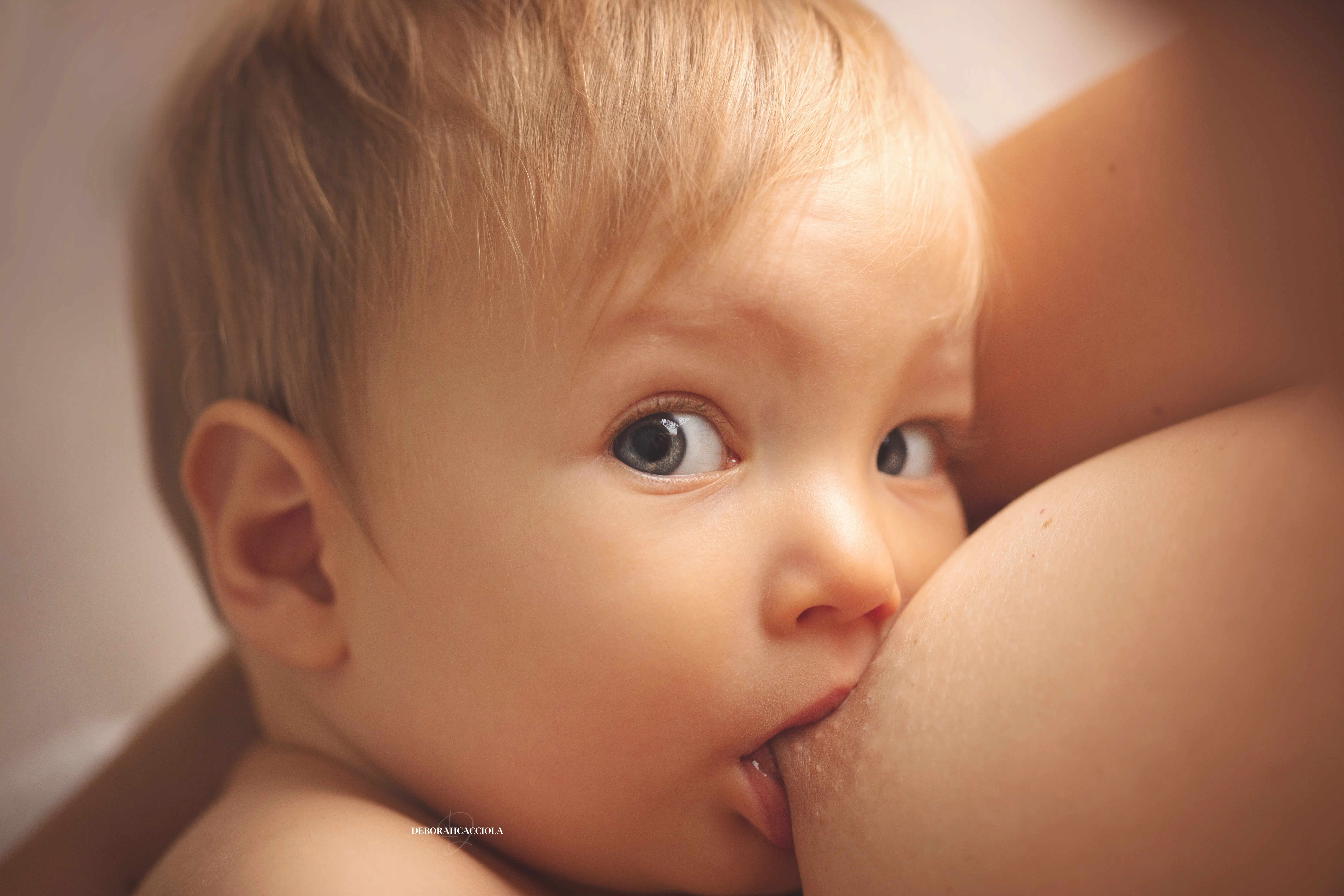 Photo bébé studio Orléans : bébé en studio, scène panoramique douce, palette claire