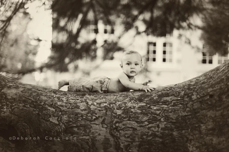 photo exterieur photographe orléans