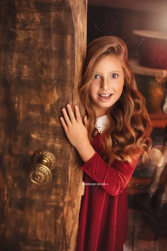 Photo Noël à Orléans, instant festif de fin d'année, plan vertical naturel, palette claire