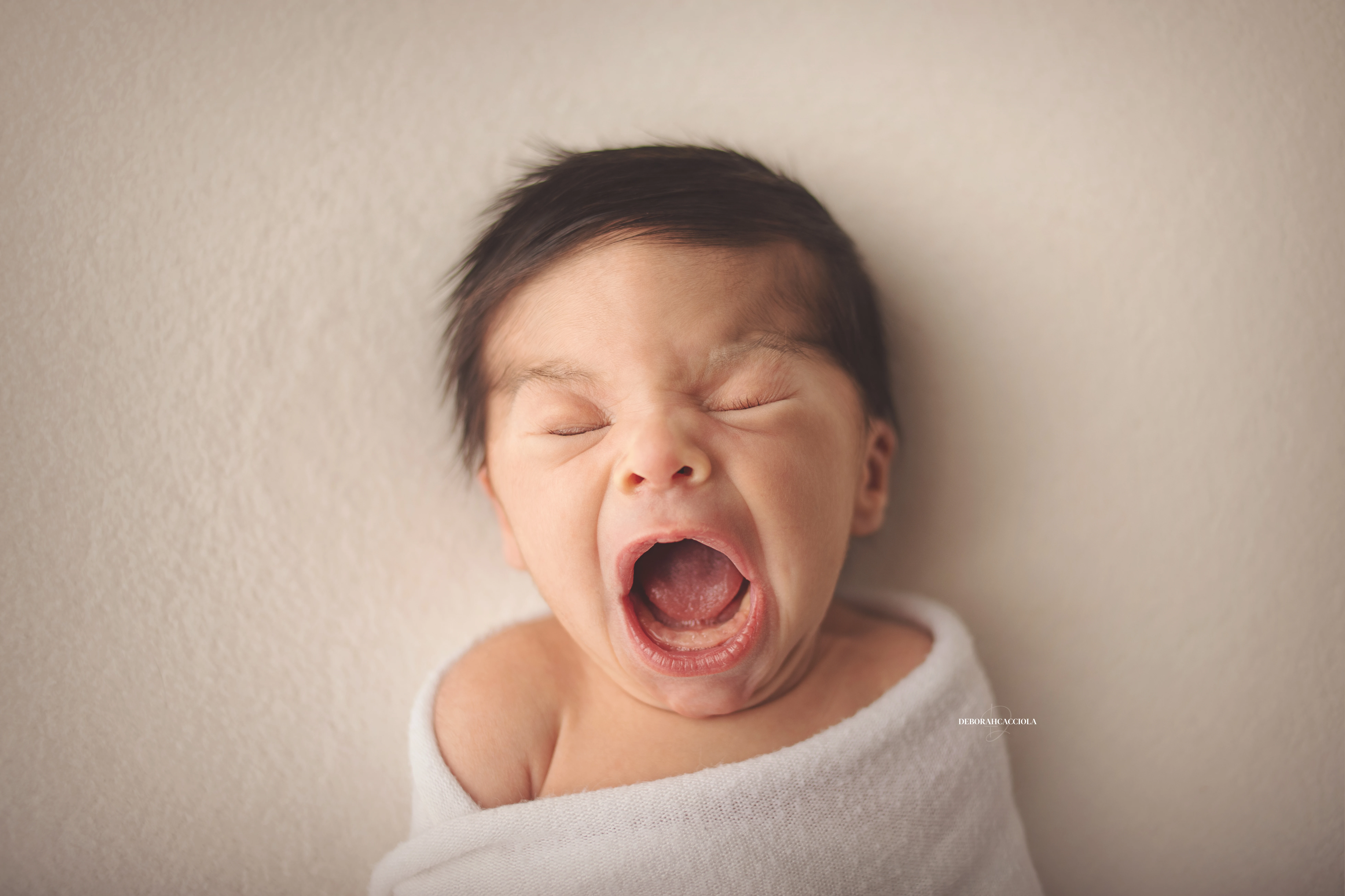 Photo nouveau-né à Orléans, bébé dans ses premiers jours, composition large et naturelle, couleurs équilibrées