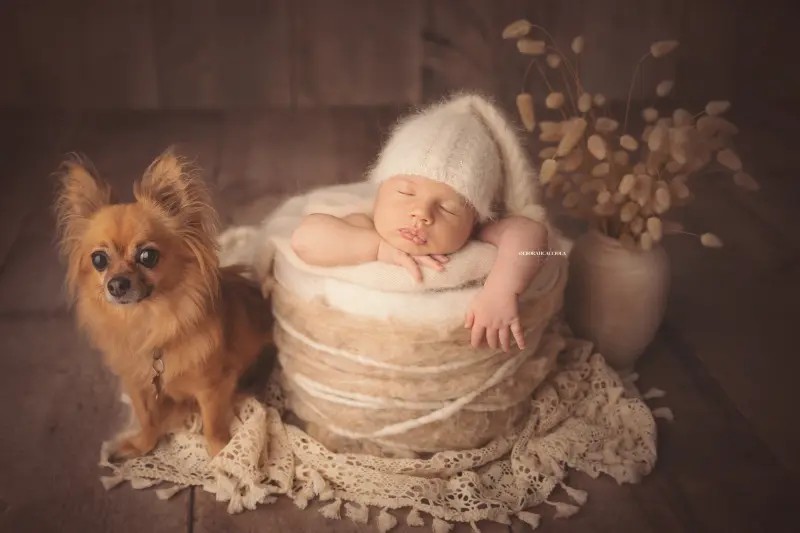 Photo nouveau-né à Orléans, bébé dans ses premiers jours, composition large et naturelle, couleurs douces