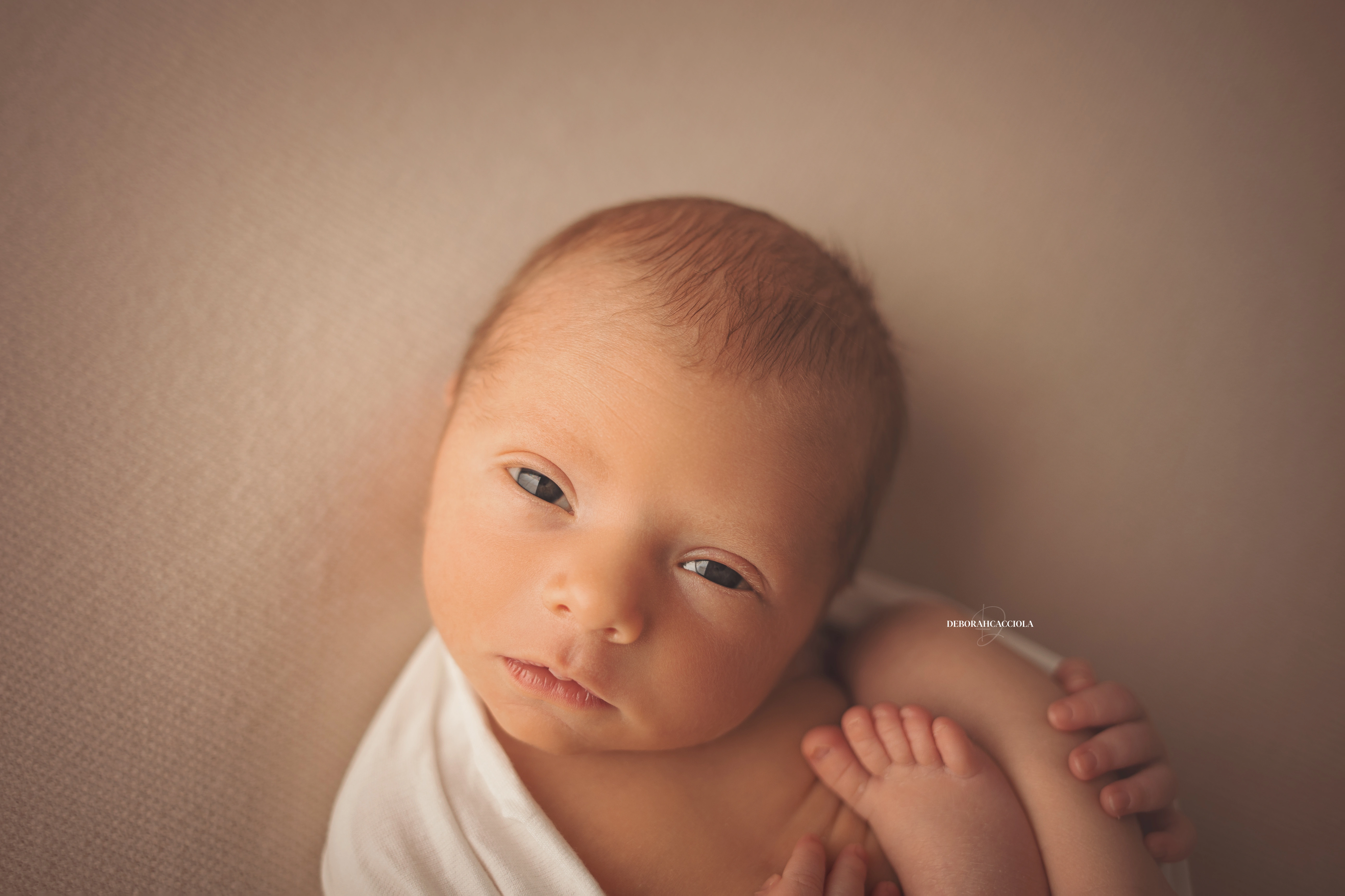 Portrait nouveau-né à Orléans : bébé dans ses premiers jours, composition large et naturelle, tonalités naturelles