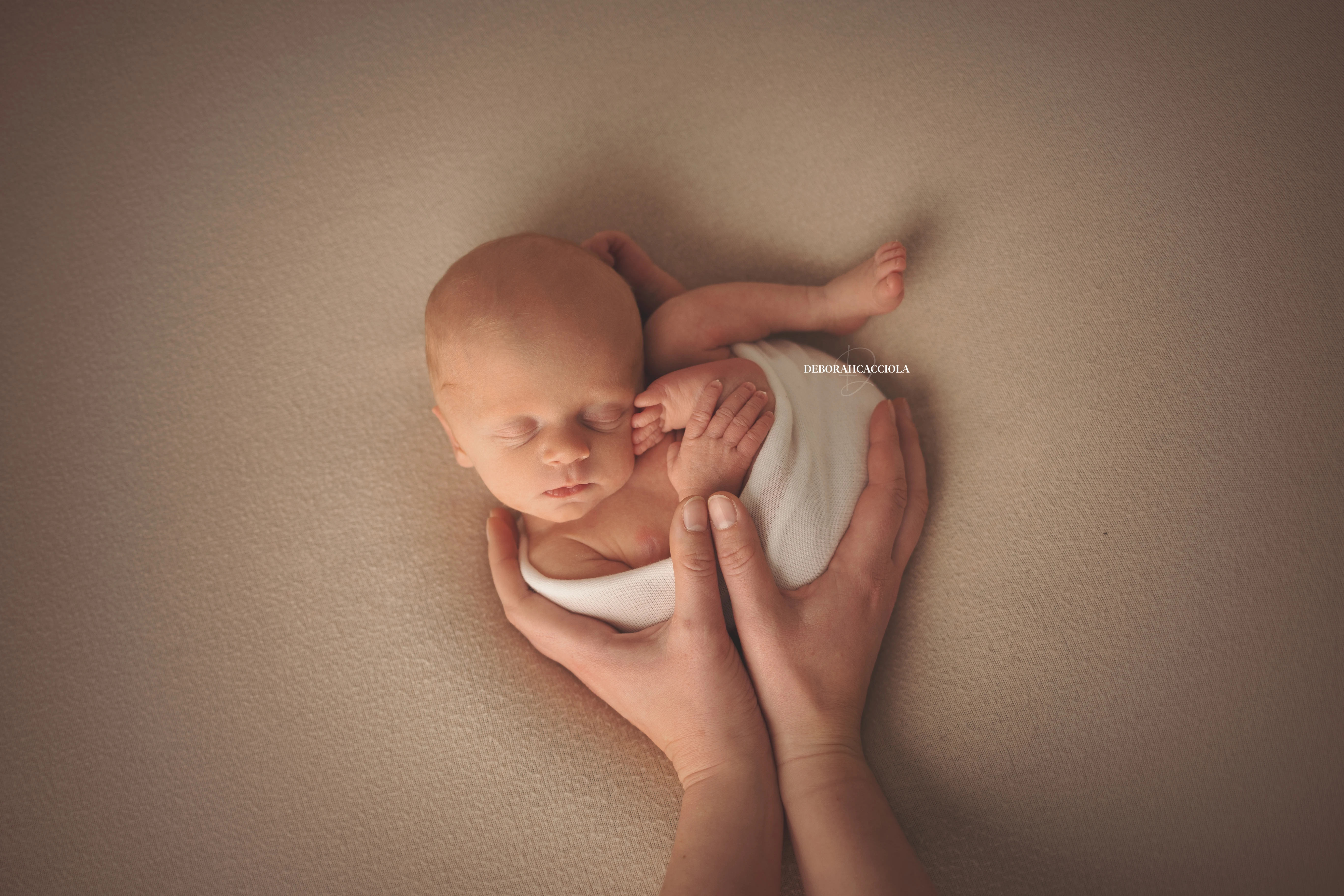 Portrait nouveau-né Orléans : nouveau-né en studio, scène panoramique douce, tonalités naturelles