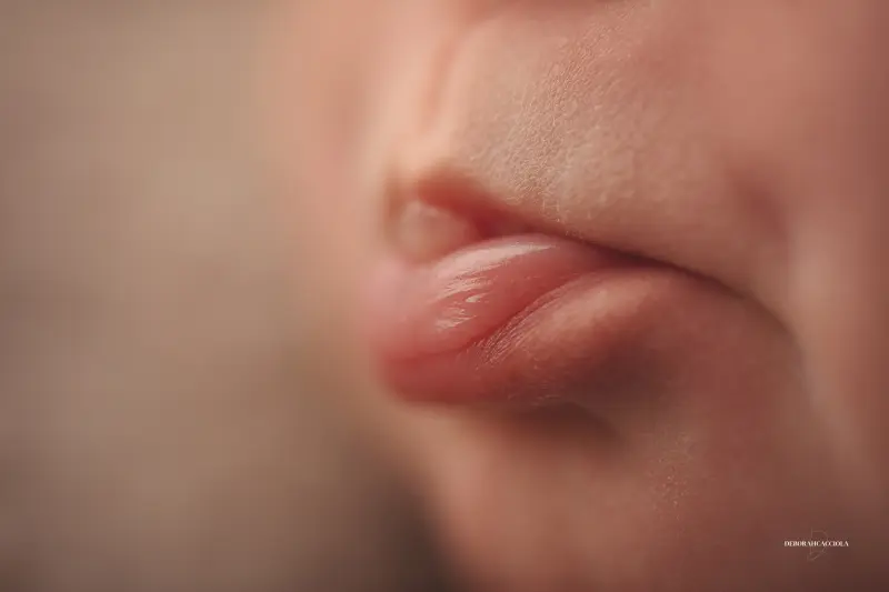 Portrait nouveau-né Orléans : nouveau-né en studio, scène panoramique douce, couleurs douces