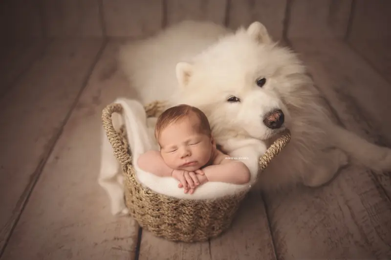 Photo nouveau-né à Orléans, instant tendre avec bébé, plan large harmonieux, rendu naturel