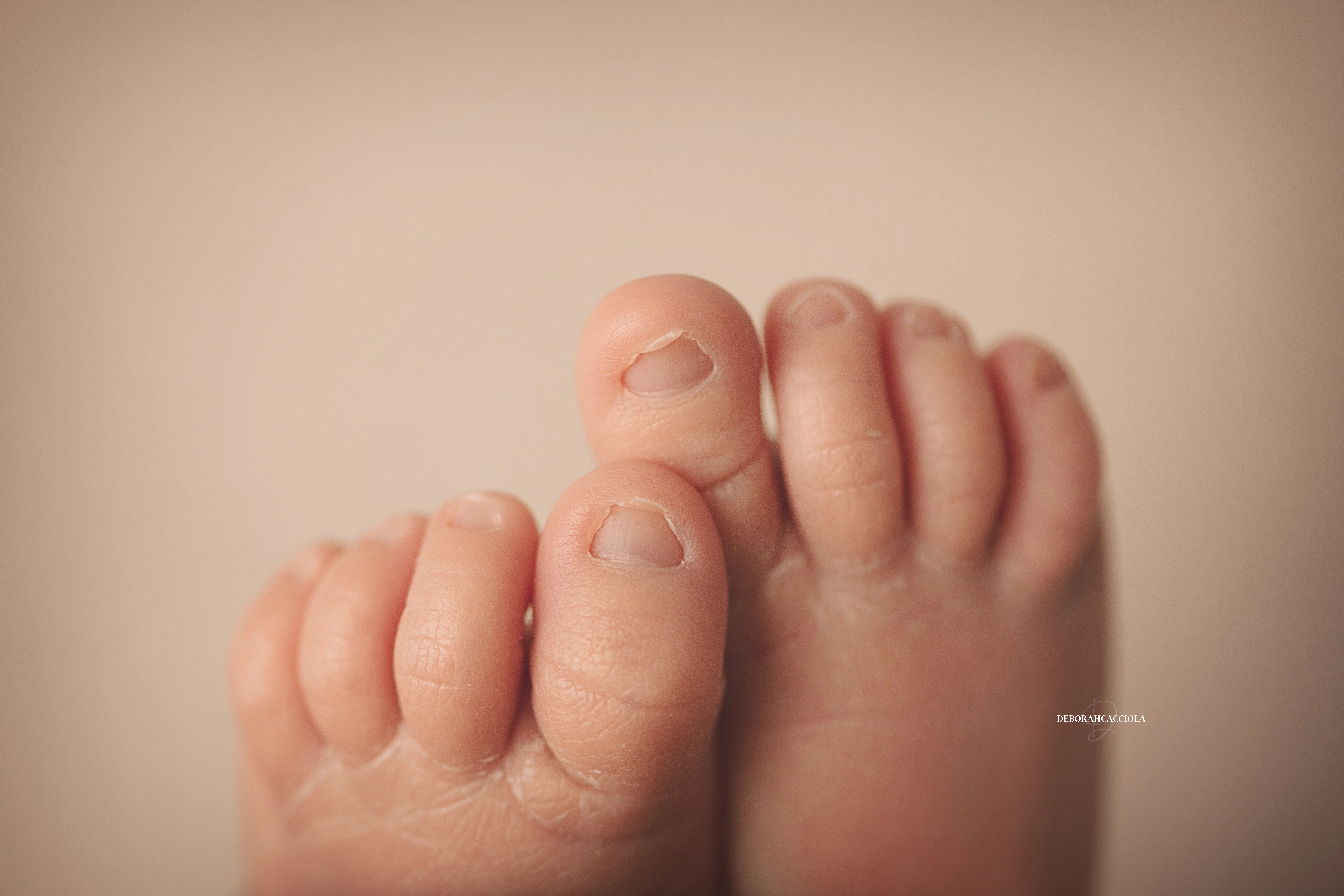 Portrait nouveau-né Orléans : portrait délicat de bébé, cadrage horizontal équilibré, tonalités naturelles