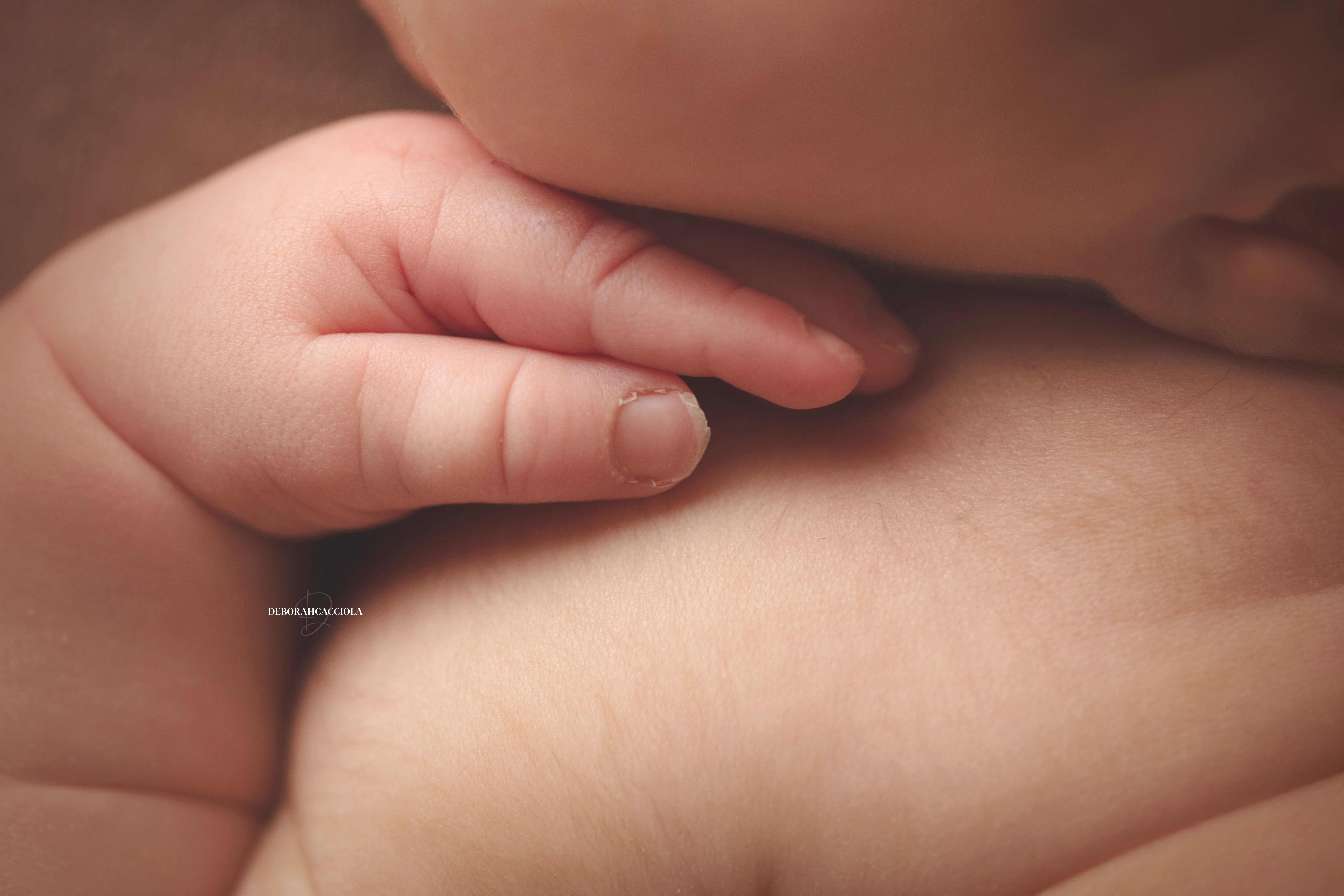 Photo nouveau-né à Orléans, bébé dans ses premiers jours, composition large et naturelle, couleurs équilibrées