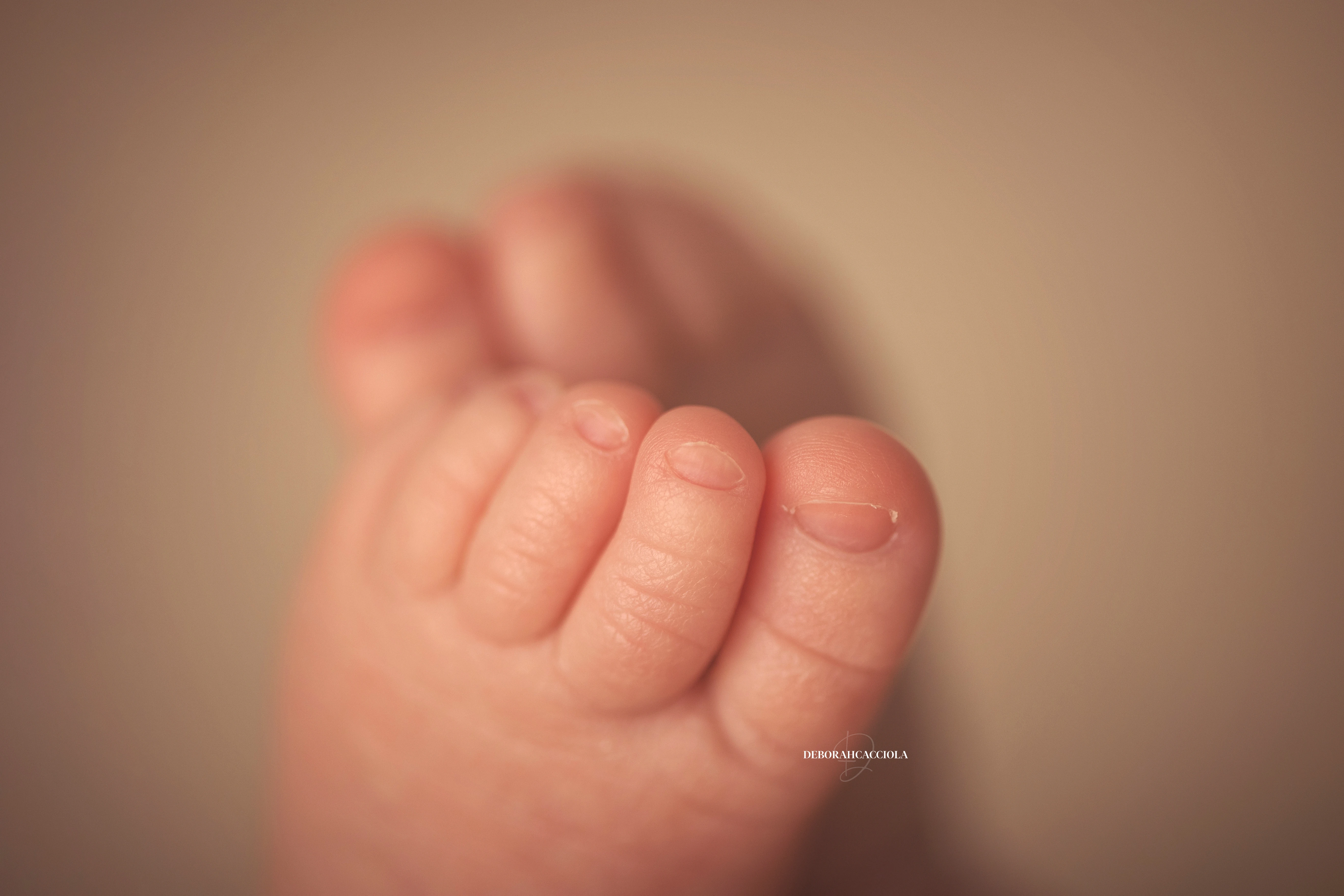 Séance bébé en studio à Orléans : portrait délicat de bébé, cadrage horizontal équilibré, couleurs douces
