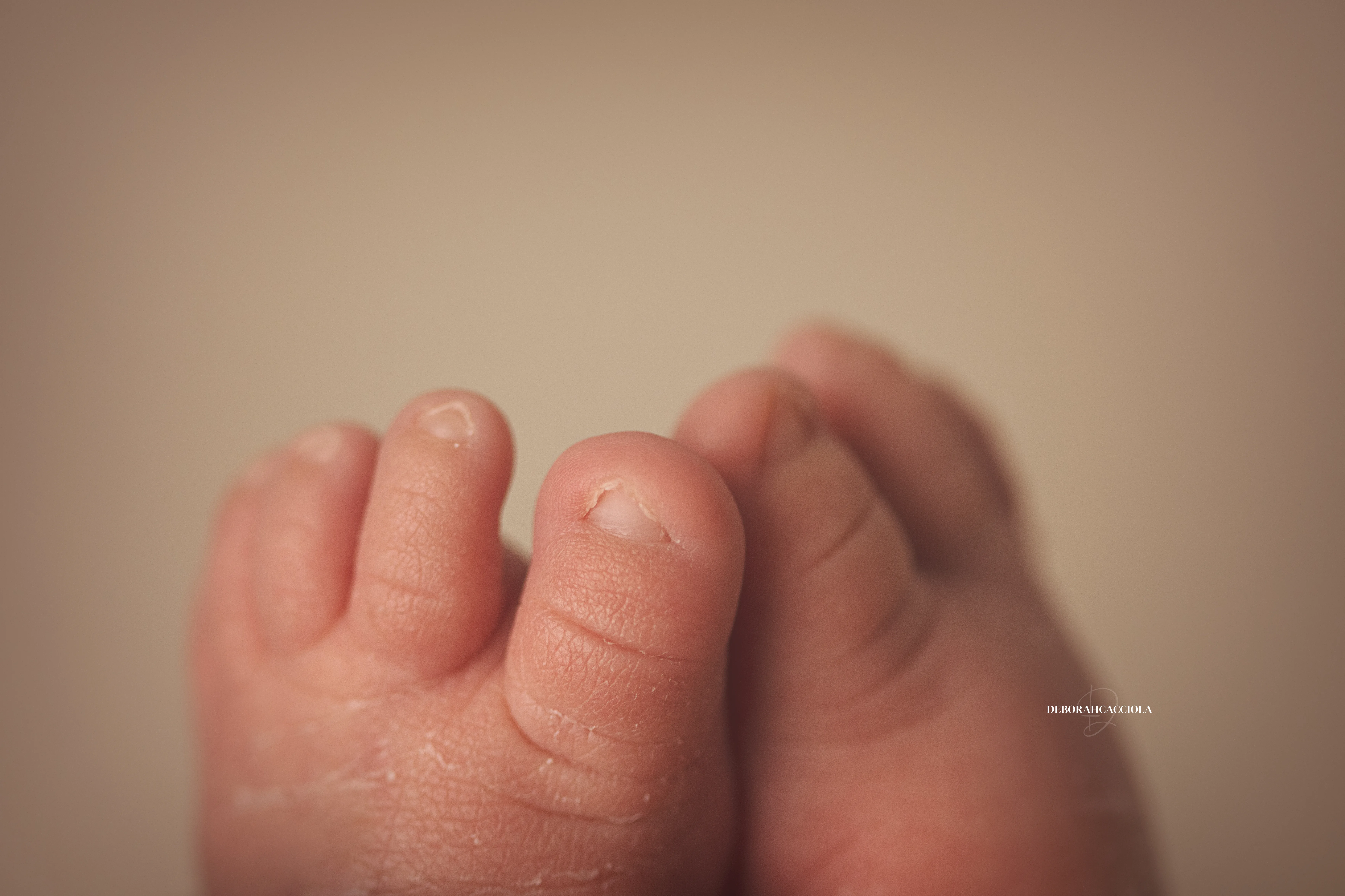 Photo nouveau-né à Orléans, bébé dans ses premiers jours, composition large et naturelle, tonalités naturelles