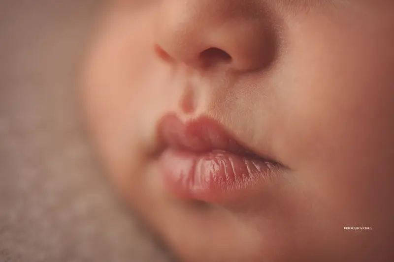 Portrait nouveau-né Orléans : nouveau-né en studio, scène panoramique douce, tonalités naturelles
