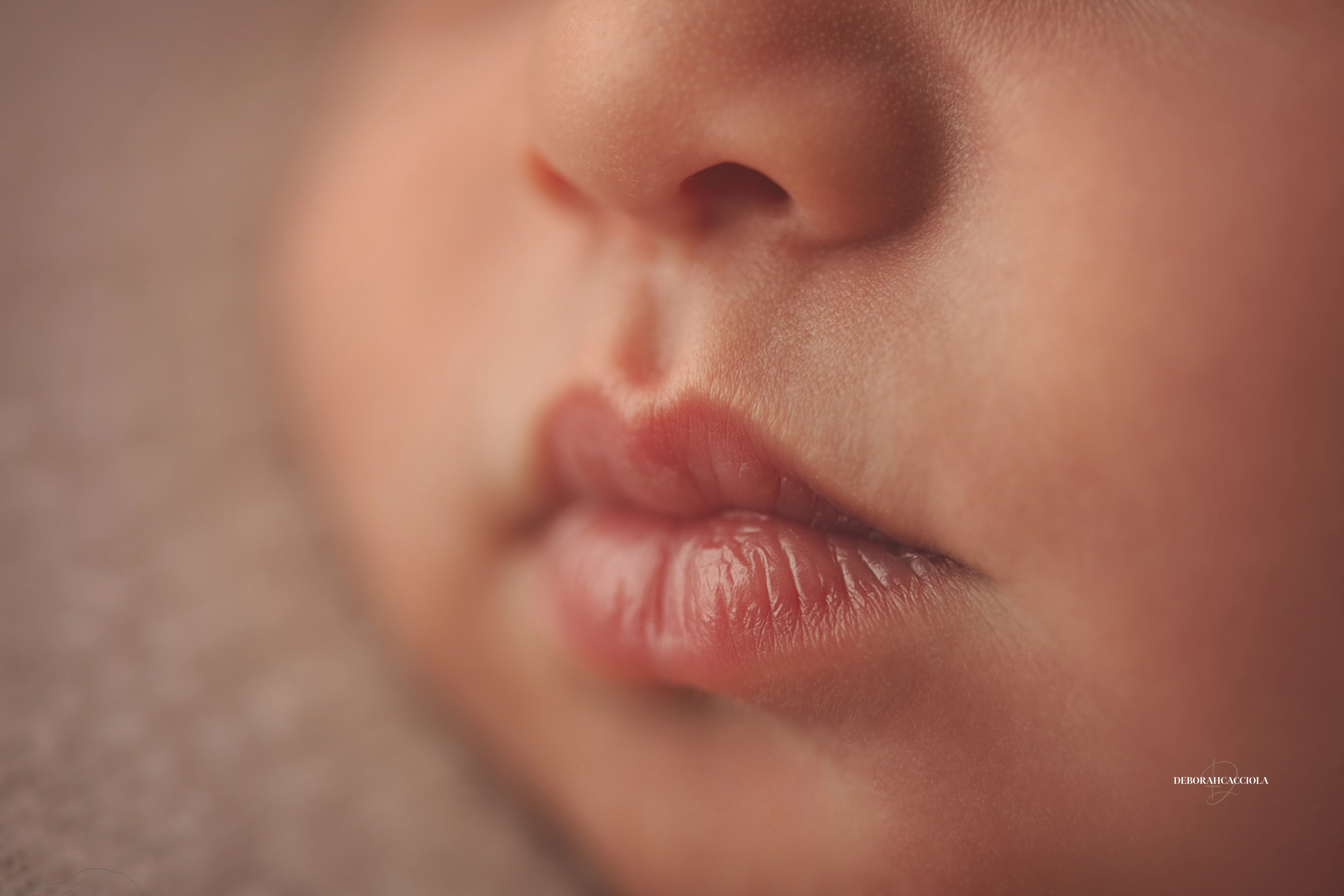 Portrait nouveau-né Orléans : nouveau-né en studio, scène panoramique douce, tonalités naturelles