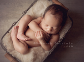 Photo nouveau-ne Photo de bébé recroquevillé dans un panier