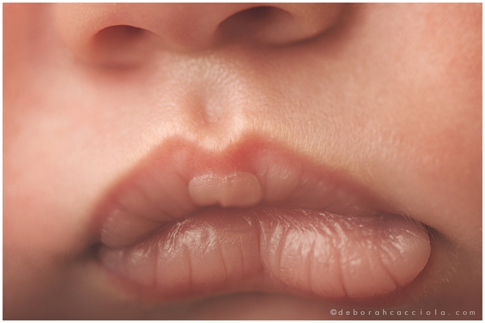 photo nouveau-ne photographe orléans