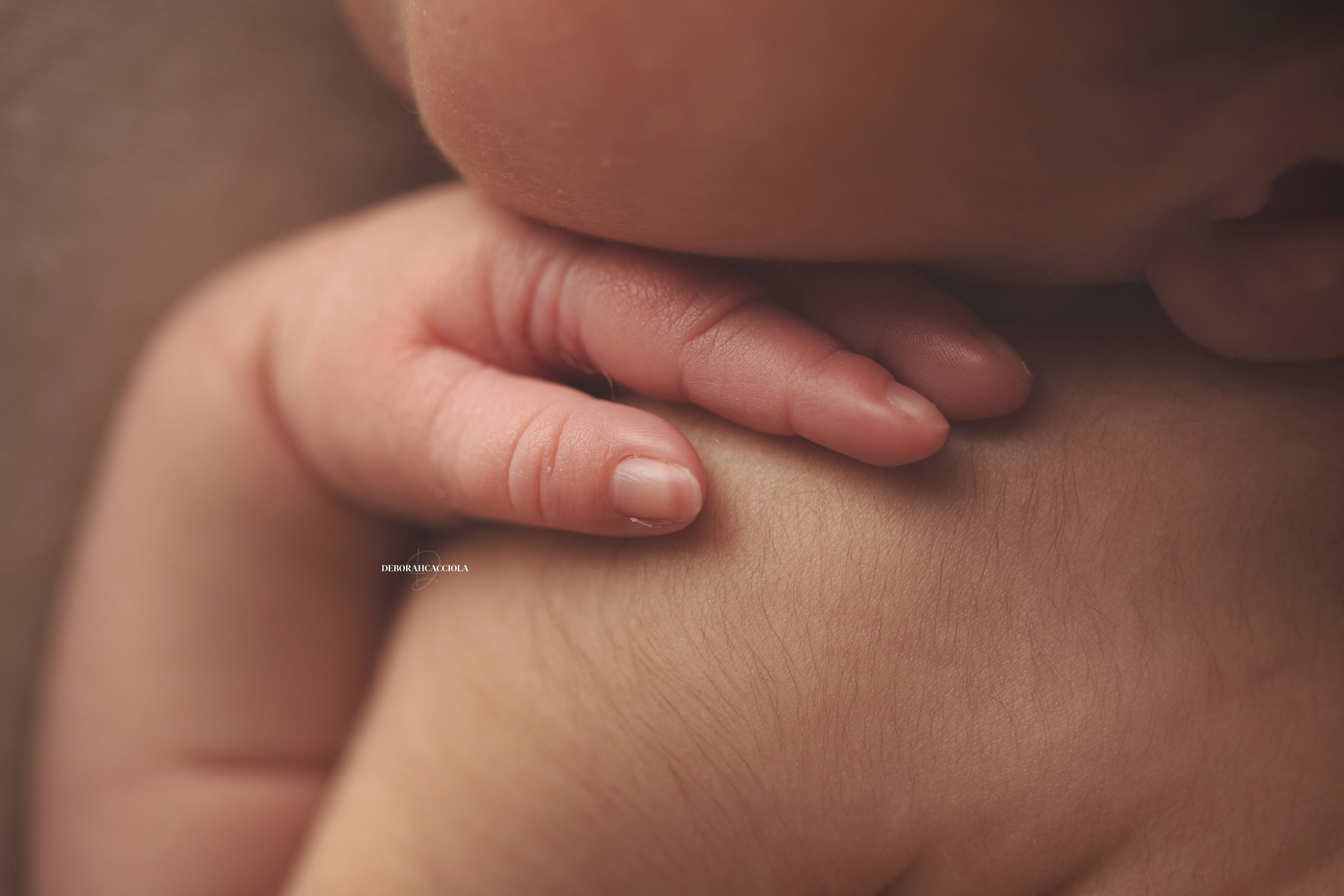 Photo nouveau-né studio Orléans : nouveau-né en studio, scène panoramique douce, rendu naturel