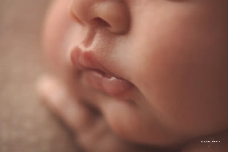 Séance bébé en studio à Orléans : nouveau-né en studio, scène panoramique douce, rendu naturel